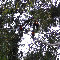 Re-exposure of Re-exposure of IMGP0982